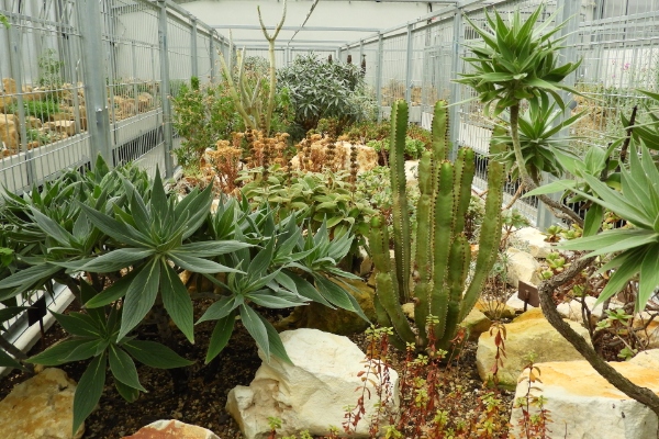 Greenhouse Teplice
