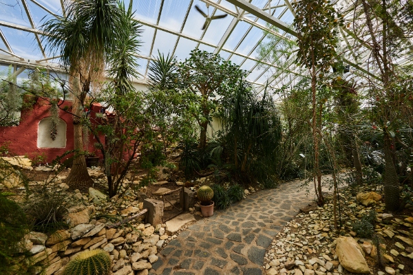 Greenhouse Teplice () Greenhouse Teplice
