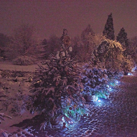 ZUŠky a stromeček Fotka 89