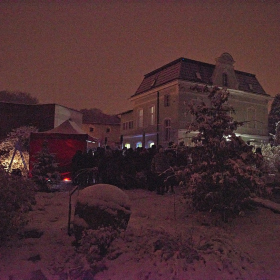 ZUŠky a stromeček Fotka 108