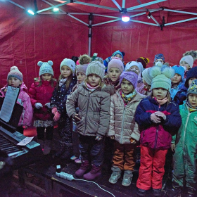 ZUŠky a stromeček Fotka 96