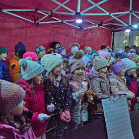 ZUŠky a stromeček Fotka 106