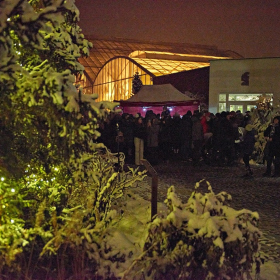 ZUŠky a stromeček Fotka 113