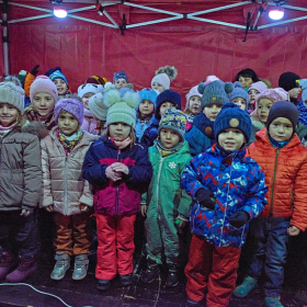 ZUŠky a stromeček Fotka 97