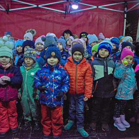 ZUŠky a stromeček Fotka 98