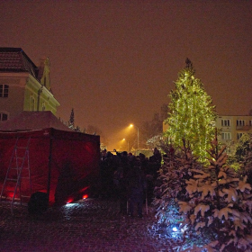 ZUŠky a stromeček Fotka 109