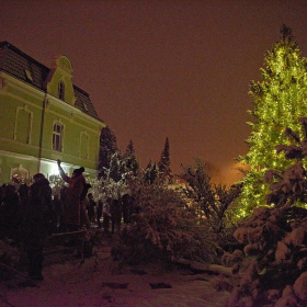 ZUŠky a stromeček Fotka 111