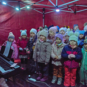 ZUŠky a stromeček Fotka 100