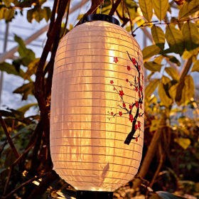 Asijská degustace Fotka 42