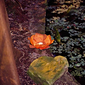 Asijská degustace Fotka 61