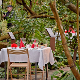 Asijská degustace Fotka 85