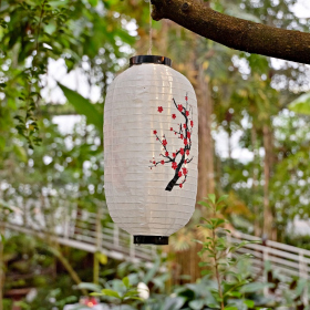 Asijská degustace Fotka 87