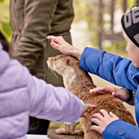 den země 2024 Fotka 32