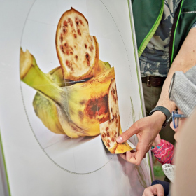 den země 2024 Fotka 64