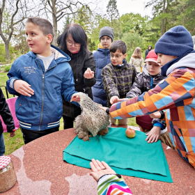 den země 2024 Fotka 45