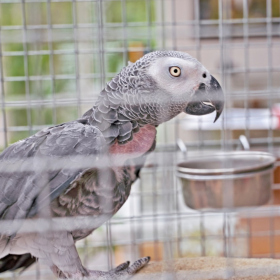 den země 2024 Fotka 78