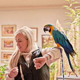 den země 2024 Fotka 68