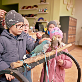 den země 2024 Fotka 73