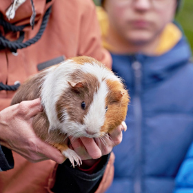 den země 2024 Fotka 40