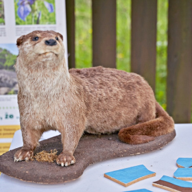 den země 2024 Fotka 83