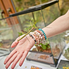 den země 2024 Fotka 56