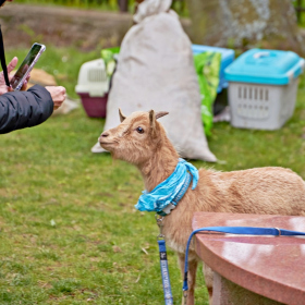 den země 2024 Fotka 42