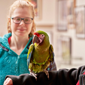 den země 2024 Fotka 70