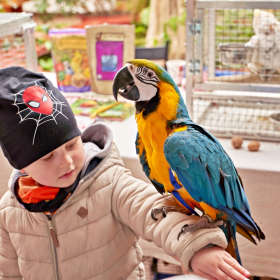 den země 2024 Fotka 72