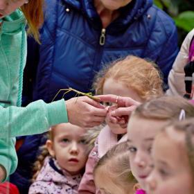 den země 2024 Fotka 55