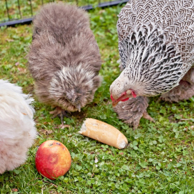 den země 2024 Fotka 33