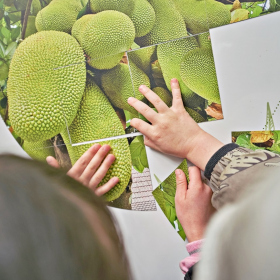 den země 2024 Fotka 65