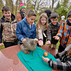 den země 2024 Fotka 43