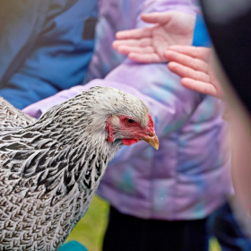 den země 2024 Fotka 46
