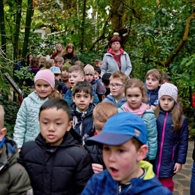 den země 2024 Fotka 62