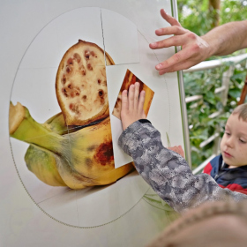 den země 2024 Fotka 49