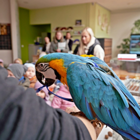 den země 2024 Fotka 67