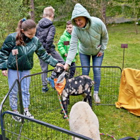 den země 2024 Fotka 41