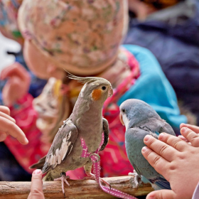 den země 2024 Fotka 76