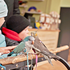 den země 2024 Fotka 74