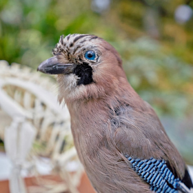 den země 2024 Fotka 51