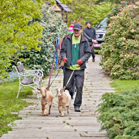 den země 2024 Fotka 35