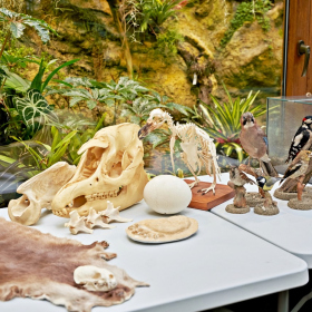 den země 2024 Fotka 53