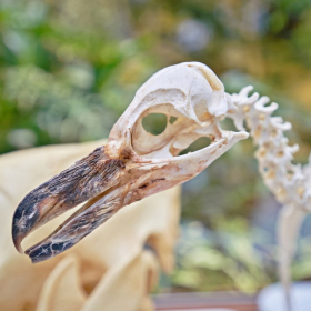 den země 2024 Fotka 52