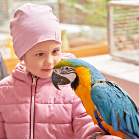 den země 2024 Fotka 71