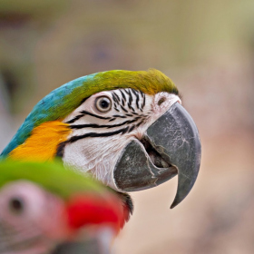 den země 2024 Fotka 81