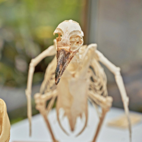 den země 2024 Fotka 21