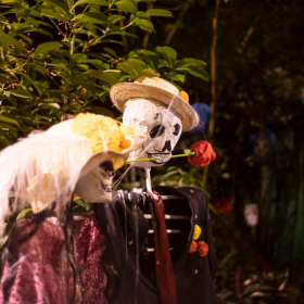 Mexicke pochutnani Fotka 107