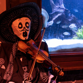 Mexicke pochutnani Fotka 74