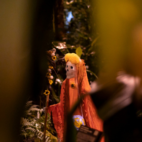 Mexicke pochutnani Fotka 71