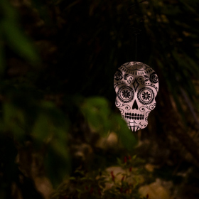 Mexicke pochutnani Fotka 163